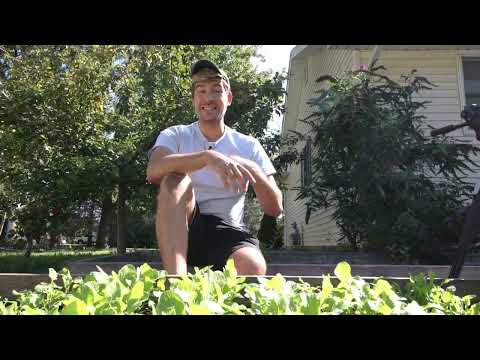 Everything I Wish I Knew About Growing Radishes