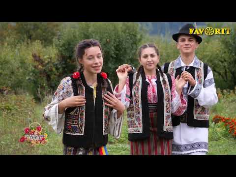 Sorina Lacramioara Anton   Mai ciobane