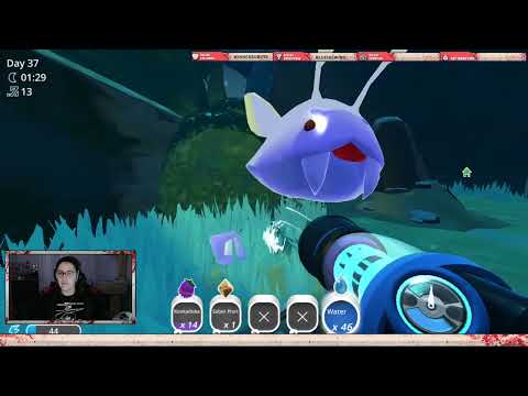 Lets Go Help Ogden - Kookadoba Hunt - Slime Rancher #26