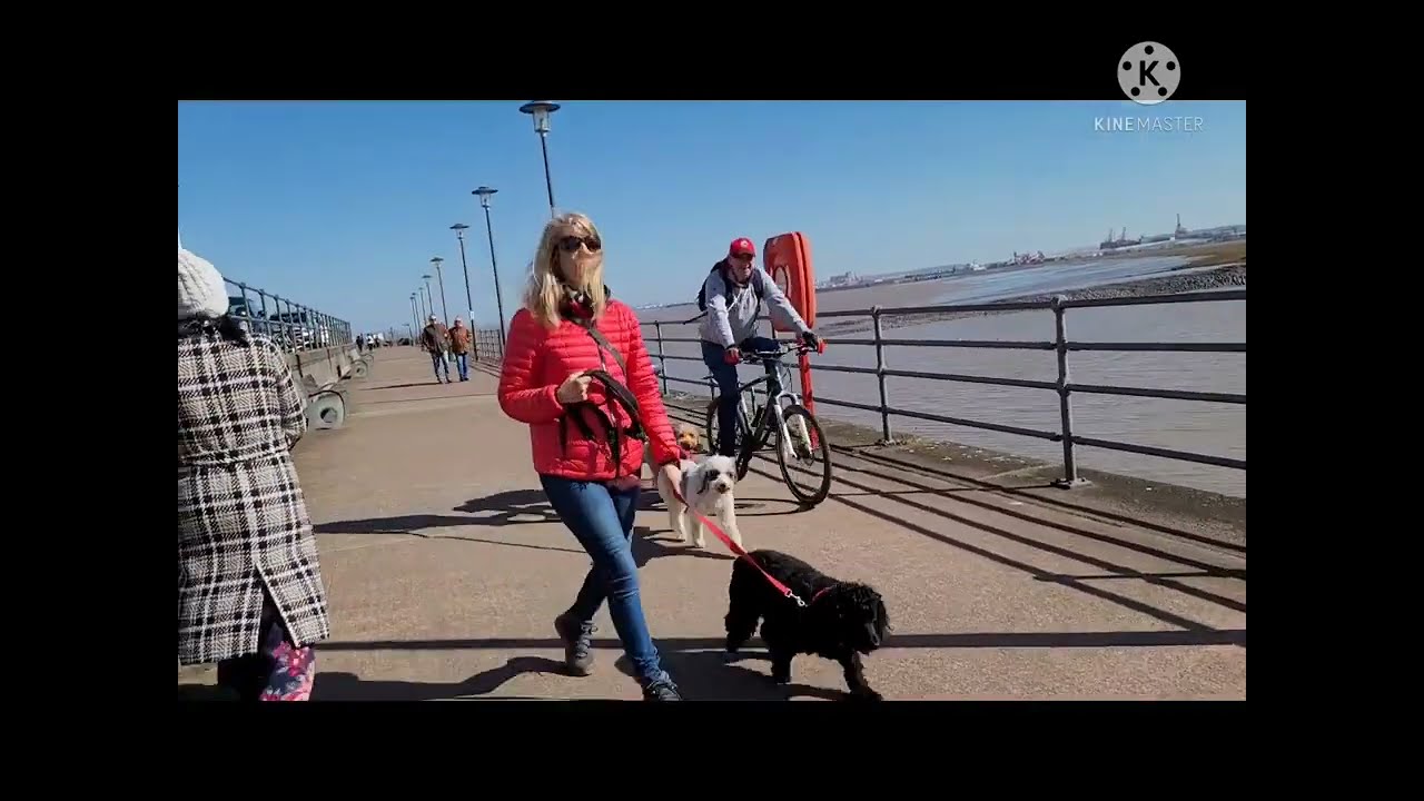 Marina || Portishead || Bristol UK || Part 02