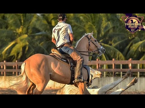 Isso E Vaquejada - Tarcísio Do Acordeon - [Vaqueiro Do Sertão Music]