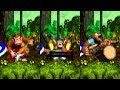 Donkey Kong Country 4 All Kong S Endings