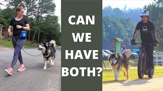 Loose Leash Walking: Is It Possible With Dog-Powered Sports?