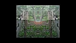 DON&#39;T LOOK IN THE MIRROR 2012