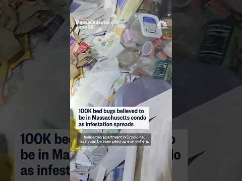 100k bed bugs believed to be in Massachusetts condo as infestation spreads