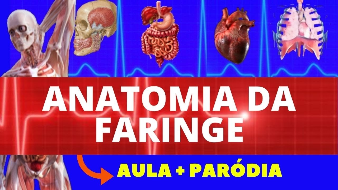 ANATOMIA DA FARINGE - AULA + PARÓDIA (NASOFARINGE, OROFARINGE E LARINGOFARINGE) - SISTEMA DIGESTÓRIO