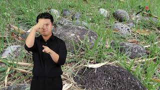 Jeju Stone Park_ Hearth of Sangmori Remains-상모리유적 화덕자리