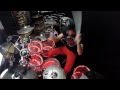 Red Hot Chili Peppers - Drum Cover - Dani ...