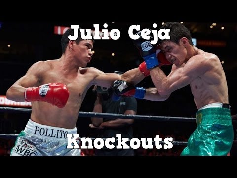 Julio Ceja - Highlights / Knockouts