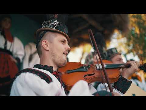 Frații Zele- Ceteruică roșie