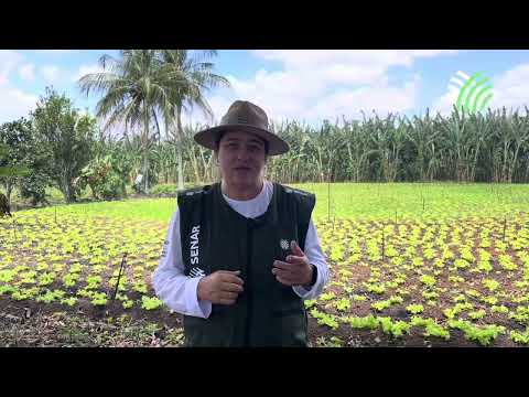 Planejamento e orientações técnicas mudam a vida do produtor rural no agreste sergipano