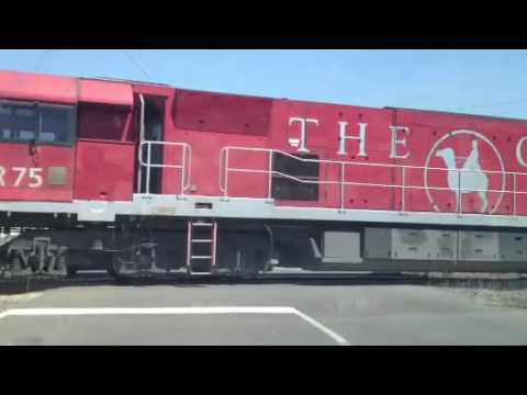 NR106 NR84 NR75 Ghan Southern spirit at Dynon