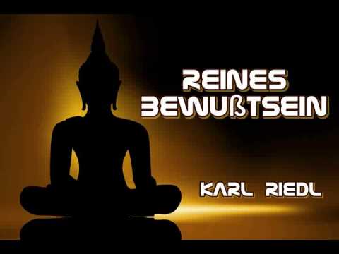 Reines Bewusstsein - Karl Riedl