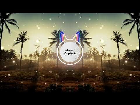 SAIBU, Yonetro & Seum Dero - Gravity