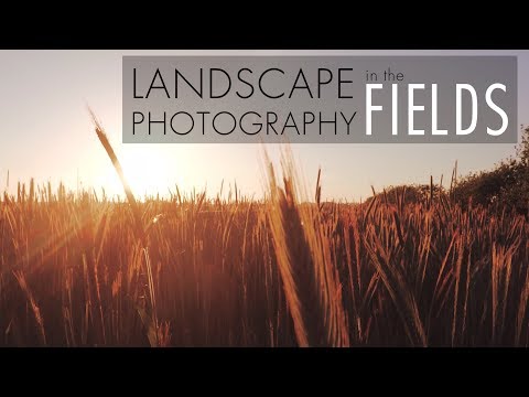 Landscape photography | Fields | Langå, Denmark