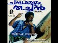 PEELI KANNEZHUTHI HQ SNEHASAGARAM MOVIE SONG VENUGOPAL CHITHRA