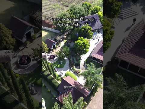 Conhecemos a Vinícola e Parque Milander, em Pinheiro Preto - SC.
