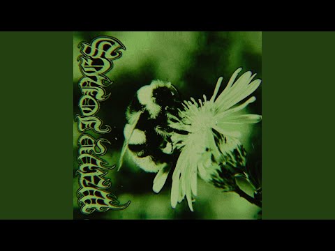 The Heart Is Deceitful Above All Things