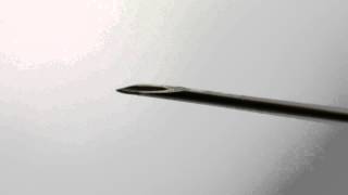 Fifteen - My Congressman (cover)