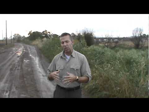 Hunts on site: Battle of Pharsalus