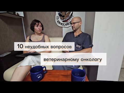 10 неудобных вопросов ветеринарному онкологу