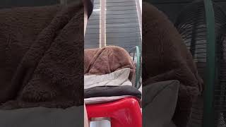 Download lagu Bigo Live Periscope #periscope #live #girlthailand #Cutegirl #สาวน่ารัก 💕 mp3