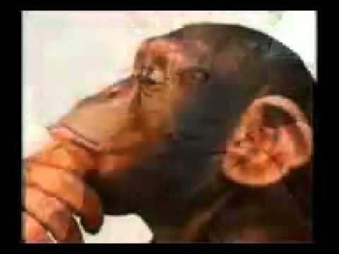 La parabola la vida del hombre