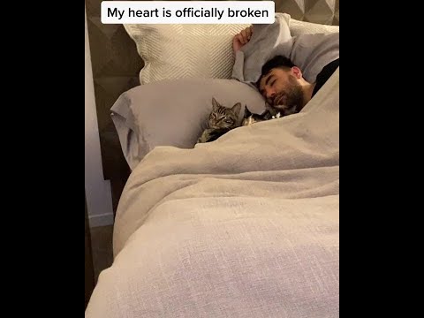 Cats doesn't sleep with mommy