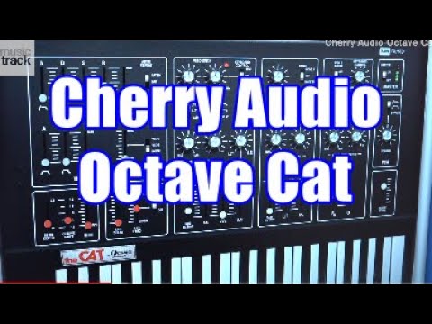Cherry Audio Octave Cat Demo & Review