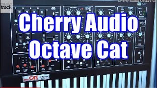 Video thumbnail for Cherry Audio Octave Cat Demo & Review by musictrackjp