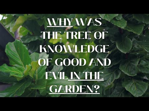 Why was the Tree of Knowledge of Good and Evil in the Garden?