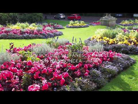 @ionbogdanstefanescu  Gabriel Faure - Sicilienne