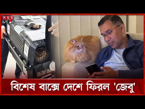 তারেক রহমানের সঙ্গে দেশে ফিরল আলোচিত 'জেবু' | Tarique Rahman | BNP | CAT Jebu | Somoy TV