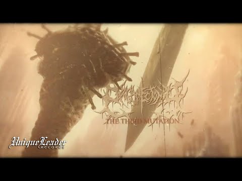 Organectomy - The Third Mutation (Official Visualizer)