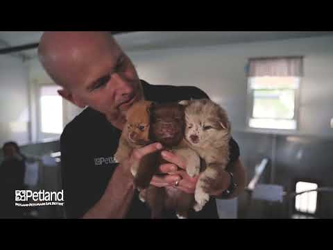 Kennel Tour 5