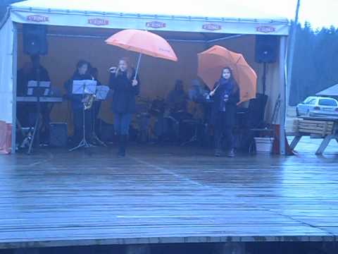 "Gaujas Iela" - Fledermausis