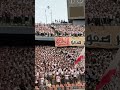 "ستضرب بجناحيها السامّين كل مَن يعكر صفو الملك".. رسالة من جماهير الزمالك في مباراة بلوزداد