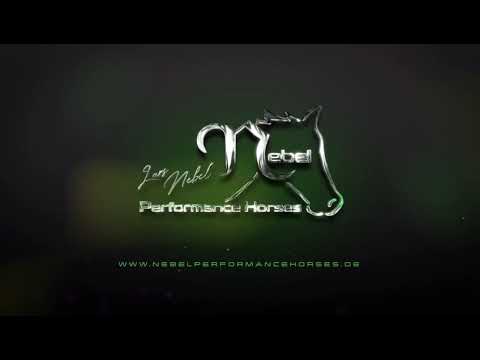 Quick Tipp 2 mit Lars Nebel Thema: Reiter Gymnastik