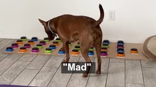 Walk Like I Taught You Music Video