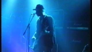 Buffalo Tom 1991 03 22 Den Bosch Sunflower Suit