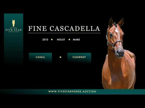 Fine Cascadella (Casall x Clearway) Holst., *2013 - Full sister of CASCADELLO I and II