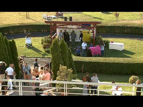 MARKONI LP @ WINNER'S CIRCLE