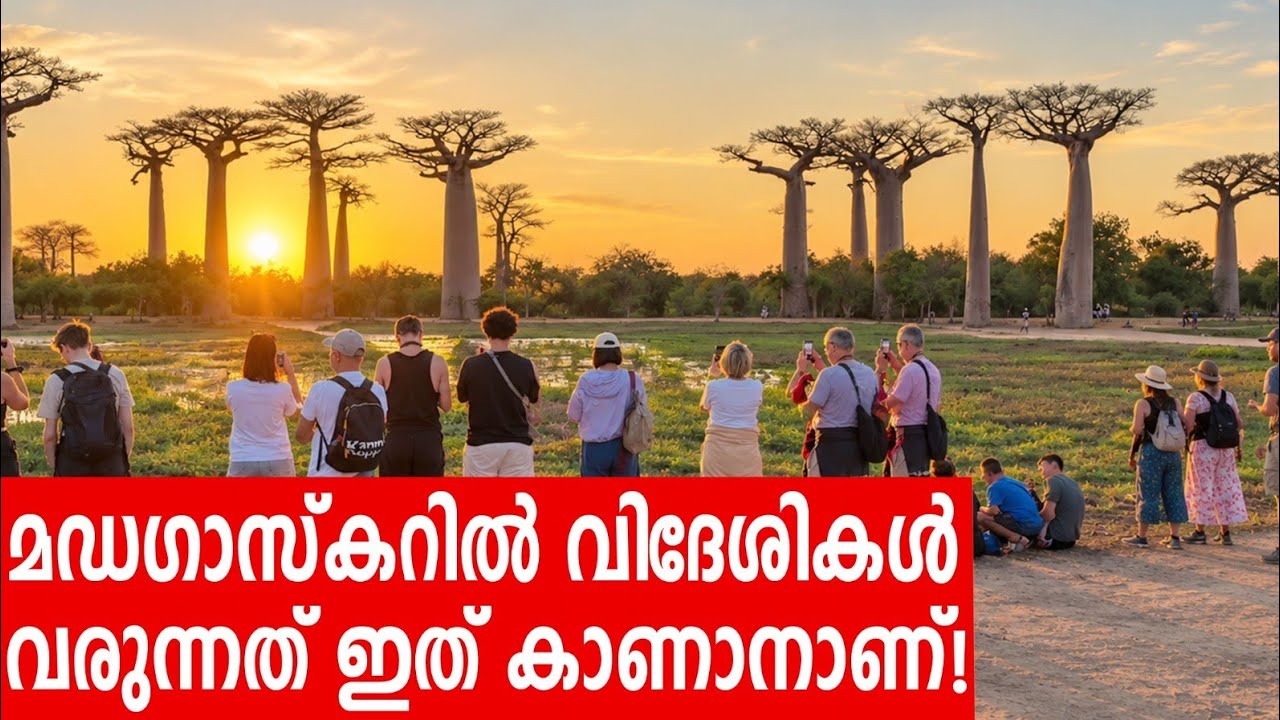Sancharam | Madagascar - 12 | Santhosh George Kulangara | Safari TV