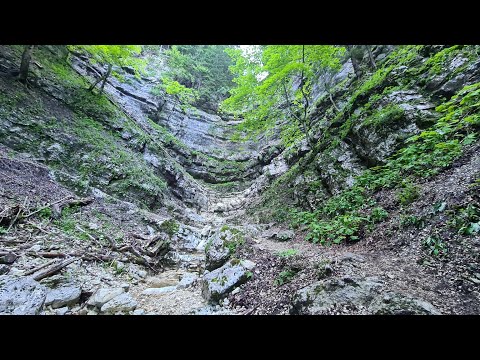 Durch die Combe Crède auf den Chasseral. 1.Teil