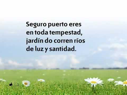 539 Oh dia delicioso   Nuevo Himnario Adventista OICeRBMlC20 360p