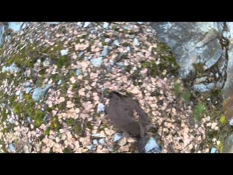 Gammalt fort i stockholms skärgård