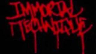 IMMORTAL TECHNIQUE THE ILLEST