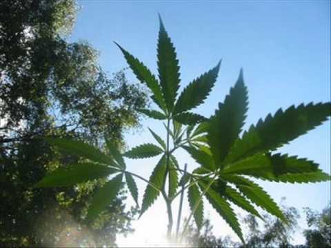 Metrowy - Zajawka (ft. Grubson)