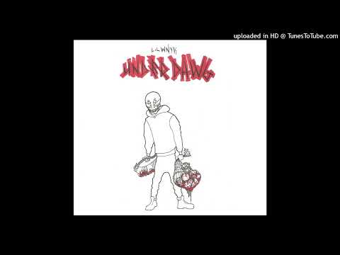 LIL WNYK - NICZEGO x DIBS (BONUS TRACK)