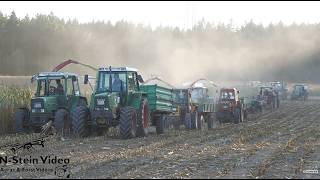 30+ HISTORISCHE MASCHINEN IM MAIS 🌽🔥 1- & 2-Reiher + CLAAS JAGUAR 70 S